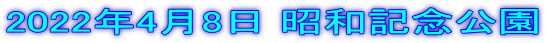 2022年4月8日 昭和記念公園