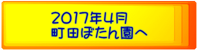 2017年4月 町田ぼたん園へ