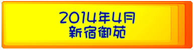 2014年4月 新宿御苑