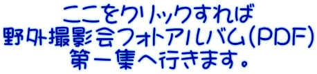 ここをクリックすれば 野外撮影会フォトアルバム（PDF) 第一集へ行きます。